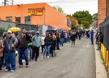 El respaldo electoral de la diáspora a diputados cian garantizará la gobernabilidad