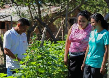 Hermanas han mejorado la producción de tomate con el apoyo del Centa 