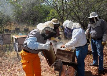 El Centa apoya a los apicultores de Chalatenango