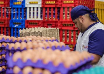 Defensoría del Consumidor verifica el precio de los huevos a escala nacional