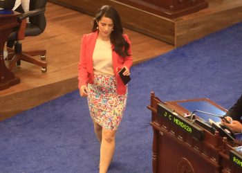 Analista dice que oposición legislativa será invisible