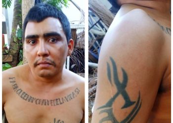 Policía captura a pandillero que se escondía en manglar de Jiquilisco