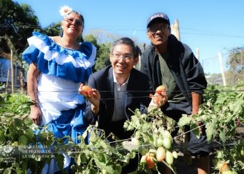 La FAO impulsa invernadero en el CUBO de la IVU