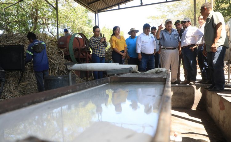 El vicepresidente Félix Ulloa realizó un recorrido por La Hacienda Mariscal, en San Luis Talpa, para conocer sobre el uso de productos agroindustriales. Fotos / David Martínez.