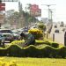 Alcaldía capitalina retoma la topiaria para dar forma artística a las zonas verdes