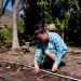 Familias podrán cultivar durante todo el año en Nueva Granada, Usulután