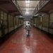 Dos años de cárcel por filmar un falso secuestro en Camboya