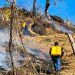Incendio destruyó 35 manzanas en cerro Tecana, de Santa Ana