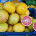 Llevarán a cabo la edición 23 de la feria de la fruta en San Pedro Nonualco, La Paz