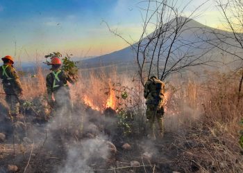 Incendios dejan diversos daños en la zona oriental
