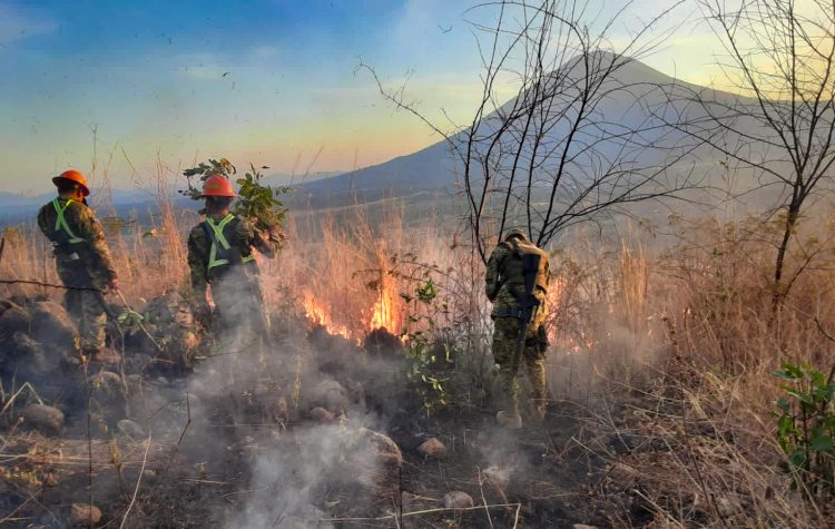 Foto/ Diario El Salvador