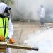 Guatemala declara alerta por dengue al sumar tres muertos y 7,000 casos en 2024