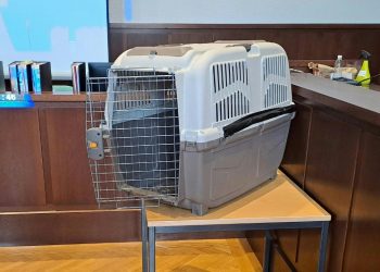 Condenan a 20 años de cárcel a una madre austríaca por torturar a su hijo en una jaula para perros