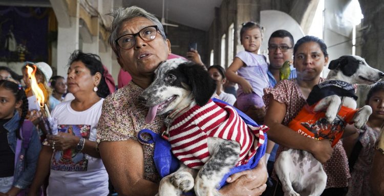 Foto: AFP