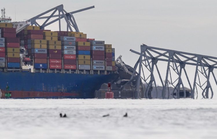 Portacontenedor
Fue construido
por el astillero
coreano Hyundai
y en el momento
del accidente
transportaba 4,679
contenedores.  Foto AFP.