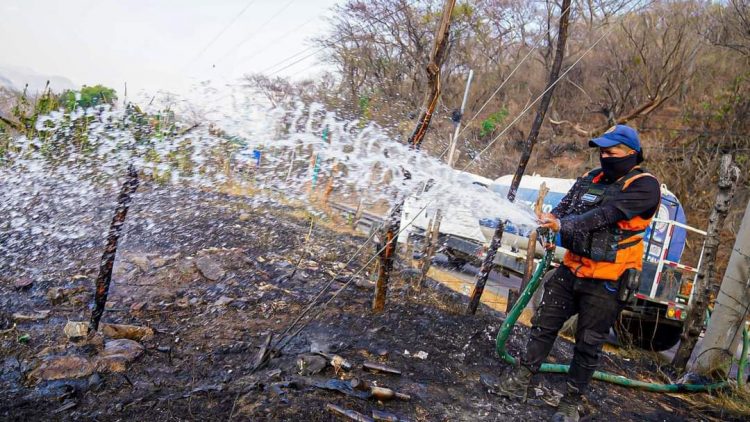 Foto/ Diario El Salvador