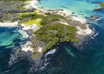 Greenpeace pide crear primera reserva marina en altamar junto a Galápagos