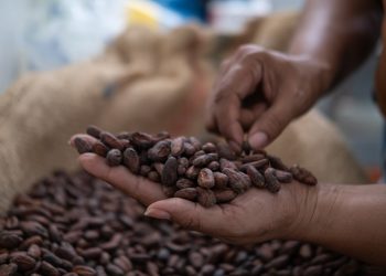 El precio del cacao supera los 10,000 dólares por tonelada en Nueva York