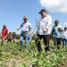 Ministro de Agricultura verifica avances del programa Rural Adelante en Concepción Batres