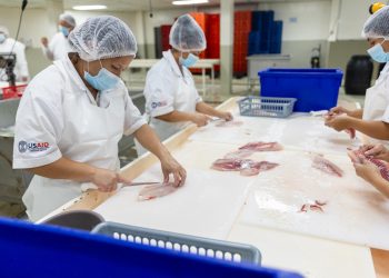 Estados Unidos apoya el desarrollo del sector pesquero nacional