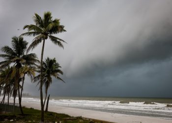 El 2024 podría ser menos cálido si el fenómeno La Niña llega rápidamente