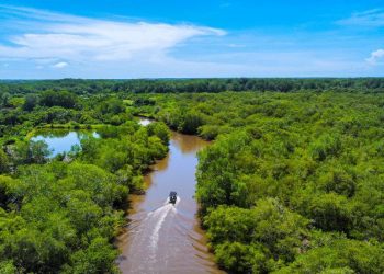 Medio Ambiente impulsa iniciativa para restaurar humedales