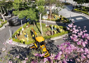 «El Maquilishuat es un Árbol Nacional, florecen y embellecen a nuestro país», Romeo Rodríguez, ministro de Obras Públicas