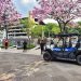 Comicios para alcaldes y Parlacen estuvieron marcados por la seguridad