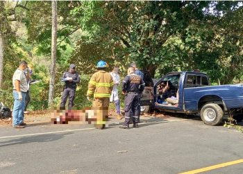 Conductor muere tras caer en barranco en carretera Troncal del Norte
