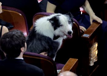«Messi» se volvió el invitado de honor de los Premios Óscar 2024