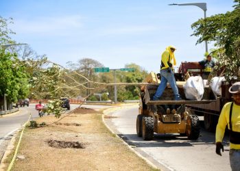 Obras Públicas siembra 200 maquilishuat en el bulevar Merliot