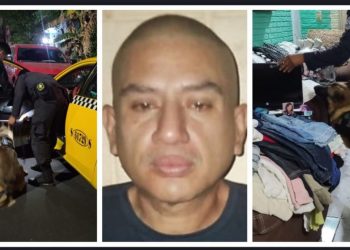 Capturan a hombre por tener cocaína y marihuana en vivienda de colonia Altavista