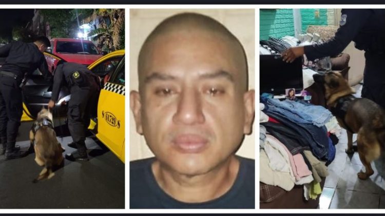 La detención se efectuó la madrugada de este viernes. Fotos FGR