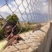 República Dominica construye muro con Haití