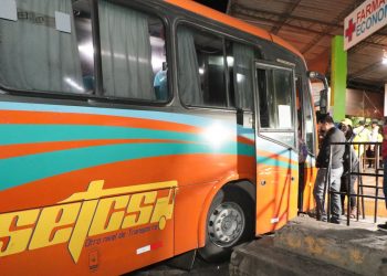 Más de 10,000 buses brindarán transporte gratuito el 3 de marzo