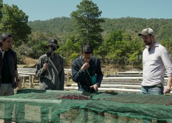 Woodberry Coffee Roasters busca comprar más café salvadoreño