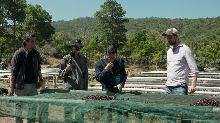 La delegación realiza recorridos y degustaciones en distintas fincas dedicadas a este cultivo en Chalatenango, Usulután, Morazán, Ahuachapán, Sonsonate y La Libertad. Foto / Diario El Salvador.