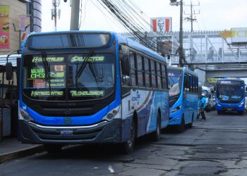 Activarán una app para que usuarios monitoreen los buses en tiempo real