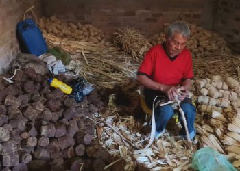 Una mezcla de comida y panela en San Vicente