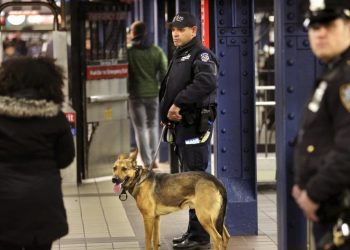 Muere un hombre al ser empujado a las vías del metro de Nueva York