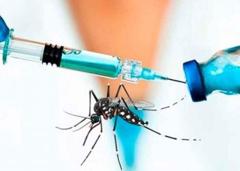 Vacuna contra malaria de empresa india se distribuirá en África en mayo