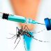 Vacuna contra malaria de empresa india se distribuirá en África en mayo