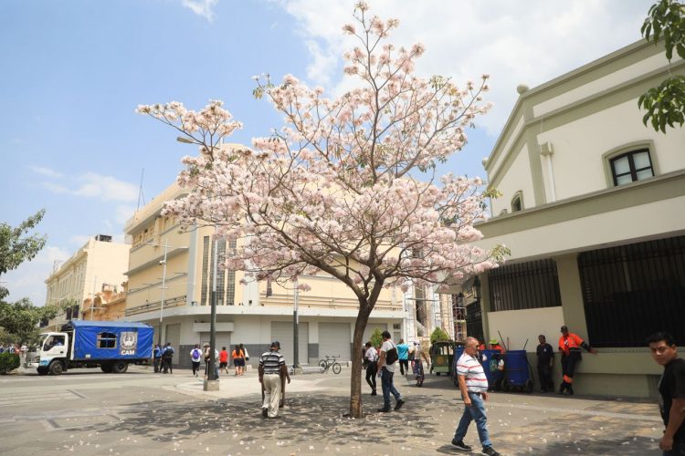Foto / David Martínez