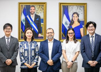 Minsal y Koica trabajan en sistema de apoyo a embarazadas y neonatos de alto riesgo
