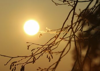 Temperaturas hasta de 40°C en algunas zonas de El Salvador