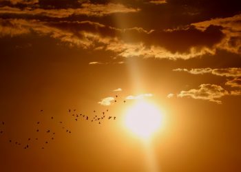 Chalatenango y Metapán registran nuevos récords de temperaturas máximas