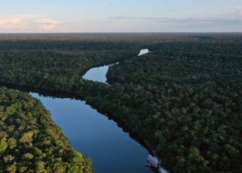 Brasil reduce 36% la pérdida del bioma amazónico en 2023, según informe