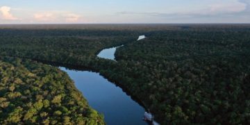 Brasil reduce 36% la pérdida del bioma amazónico en 2023, según informe