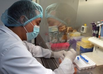 EE. UU. detecta su primer caso humano de gripe aviar transmitido por una vaca lechera