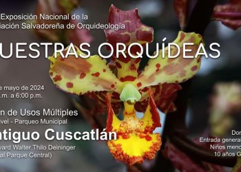 Asiste a la XLVI Exposición Anual de Orquídeas